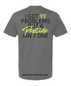 99 Problems T-Shirt – Gray