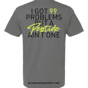 99 Problems T-Shirt – Gray
